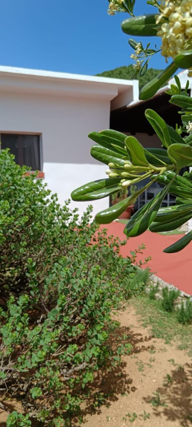 La Maisonette * Sant'Andrea (Sardinia)